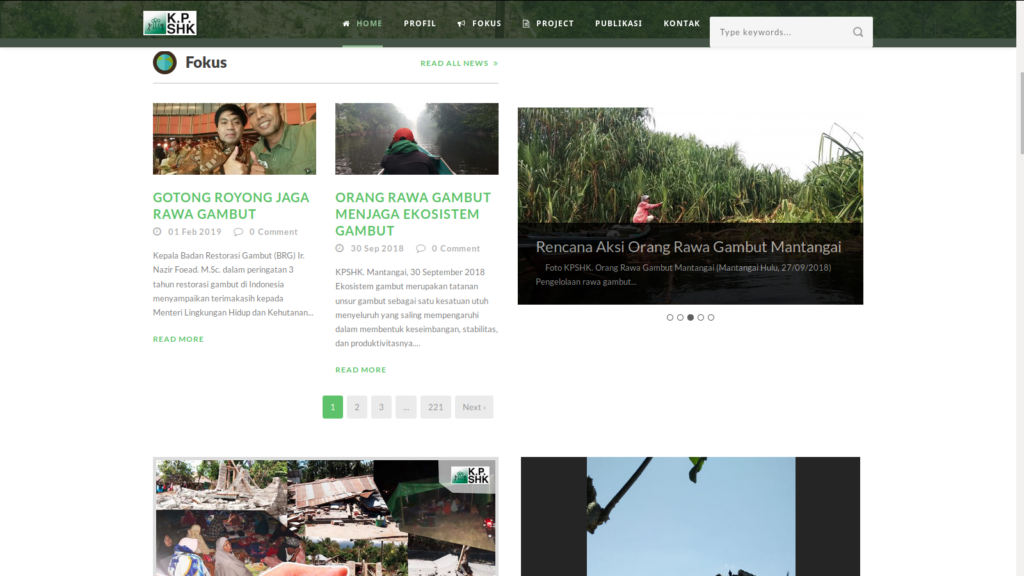 website cms wordpress